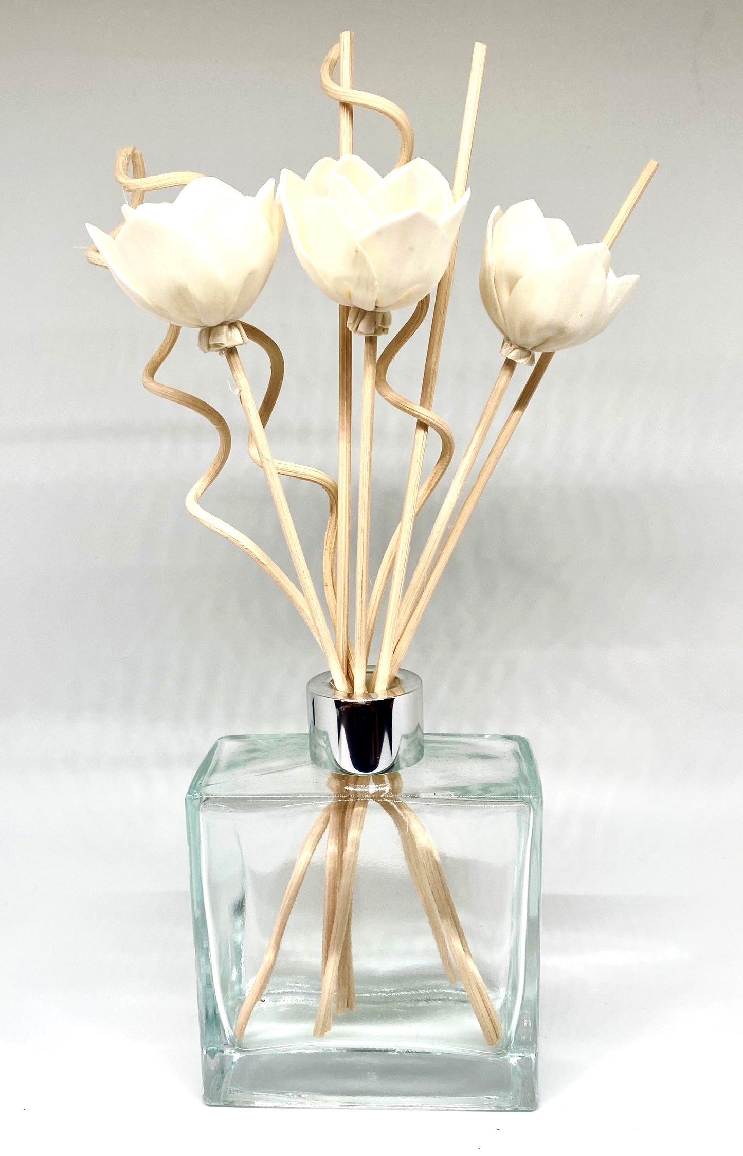 Reed Diffuser w/Natural Rattan Reed Sticks