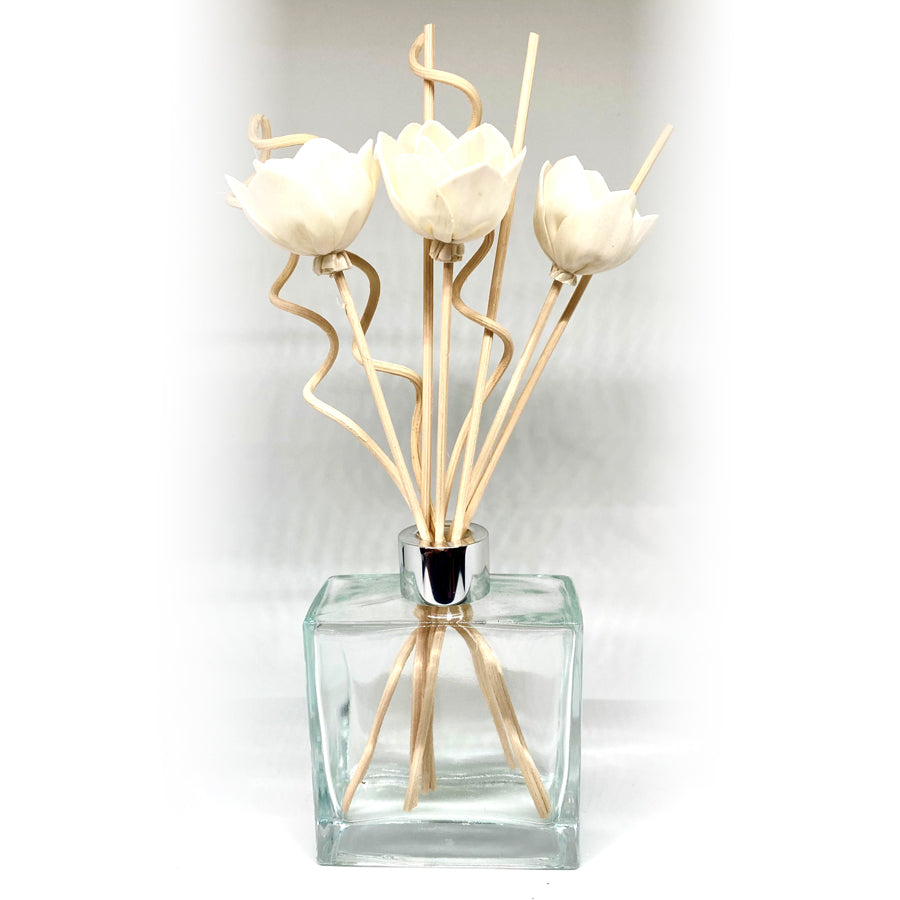 Reed Diffuser w/Natural Rattan Reed Sticks